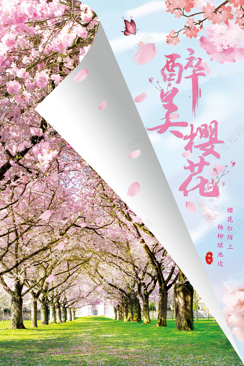 粉色实拍简约创意醉美樱花宣传海报