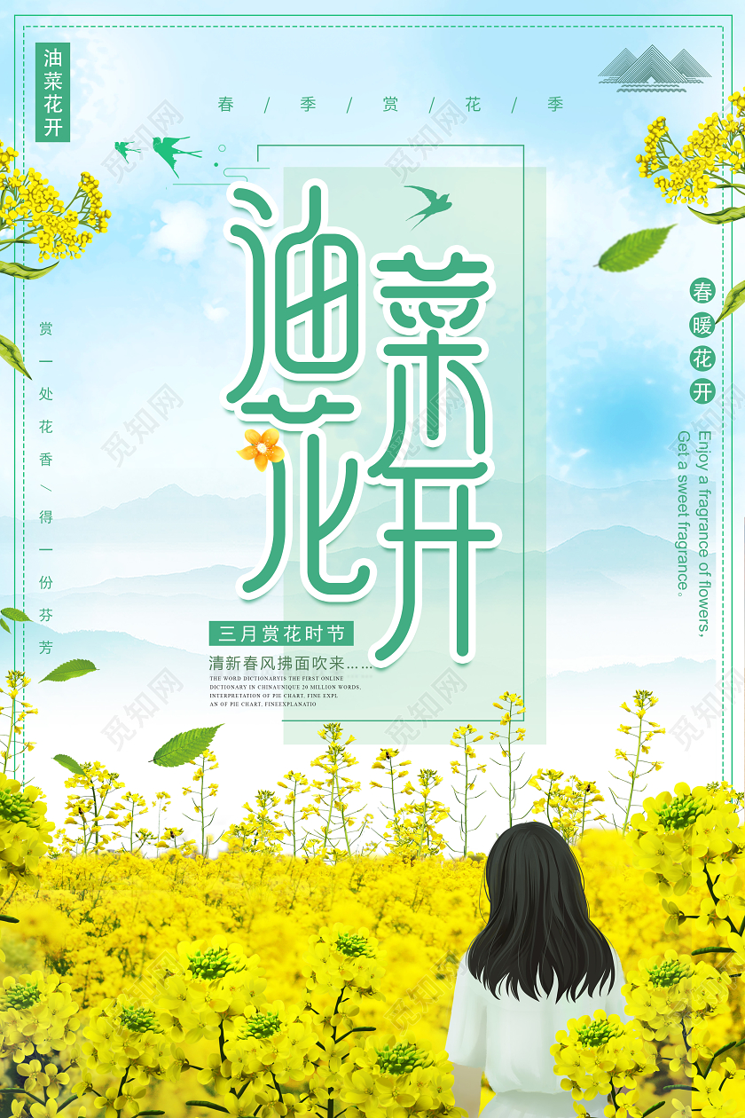 春天油菜花开宣传海报