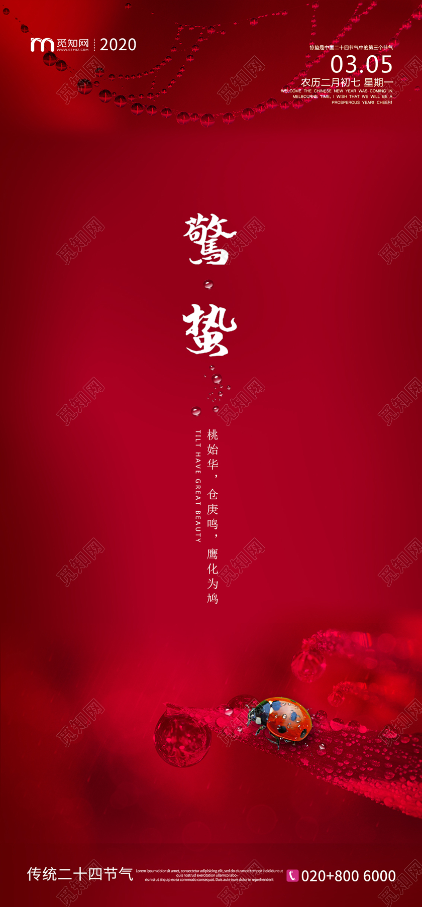 红色简约风中国传统24节气惊蛰手机海报