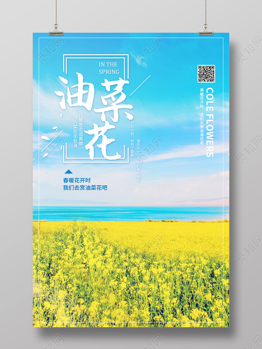 油菜花海报春天油菜花