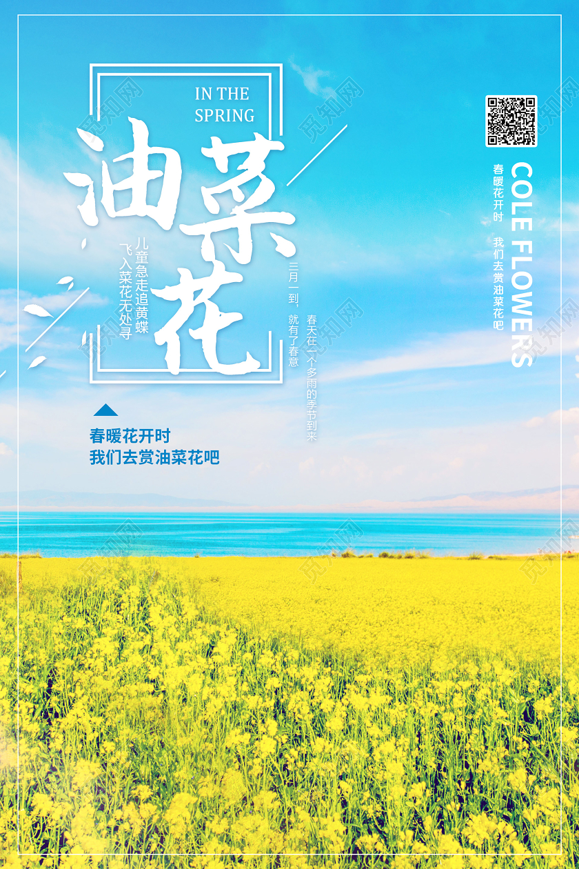 油菜花海报春天油菜花