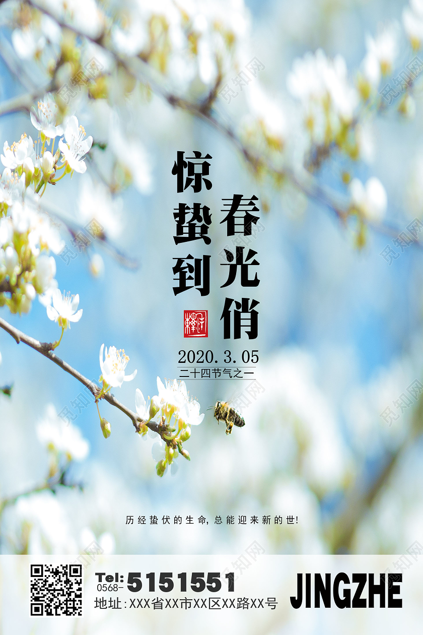 创意背景二十四节气之惊蛰宣传海报