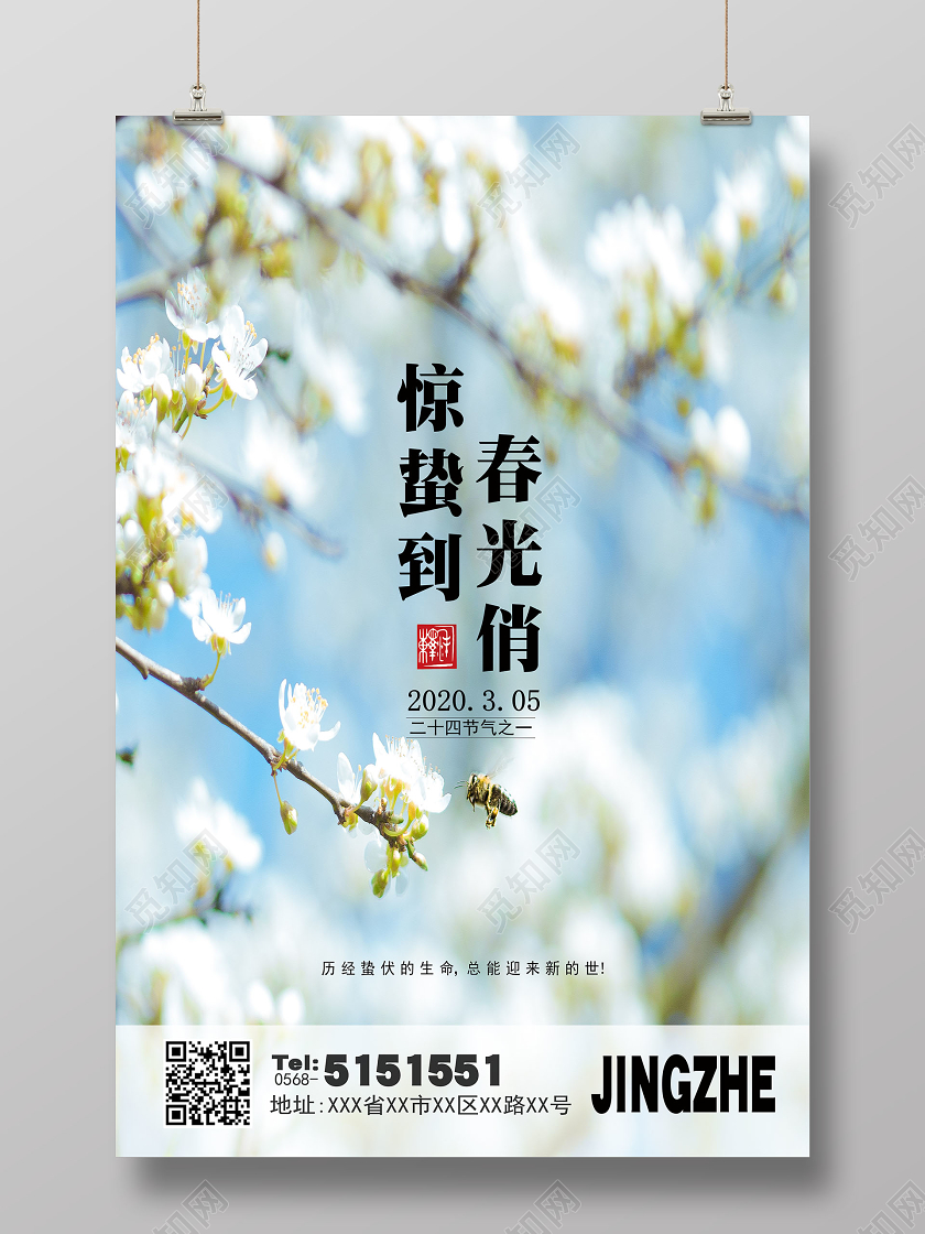 创意背景二十四节气之惊蛰宣传海报