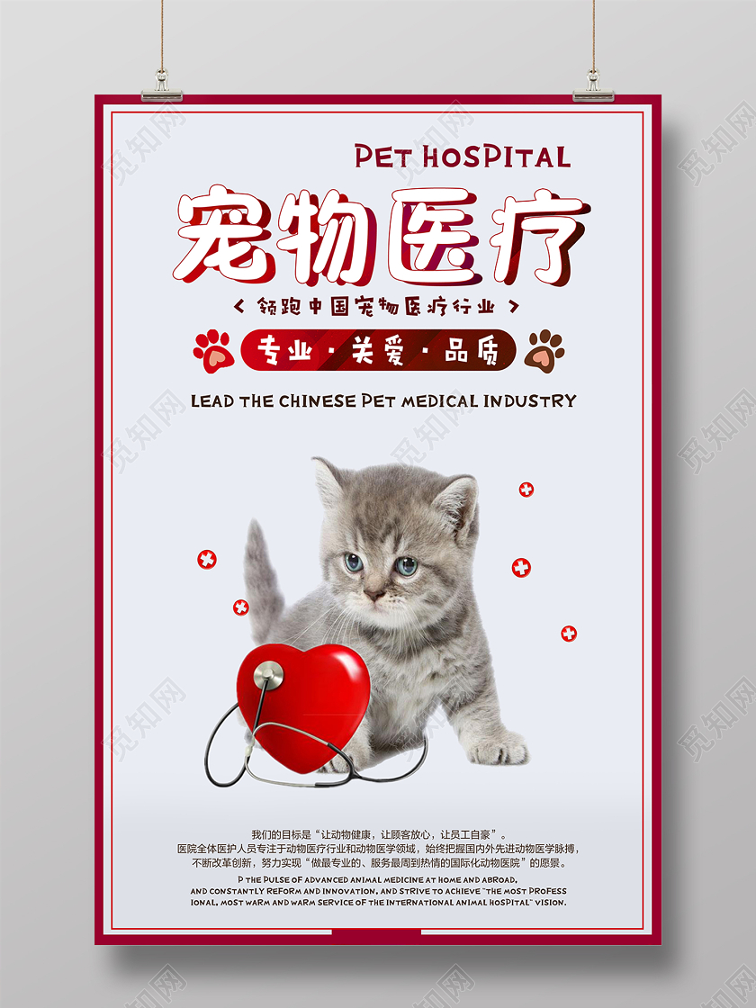 卡通清新宠物店宣传单宠物医疗动物海报