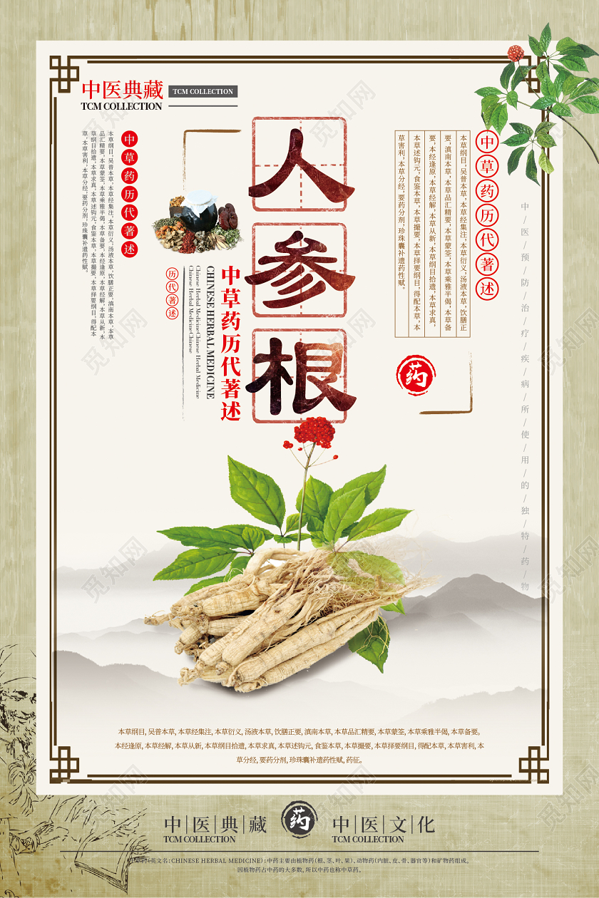 传统中式人参根黄芪片田七根虫草药