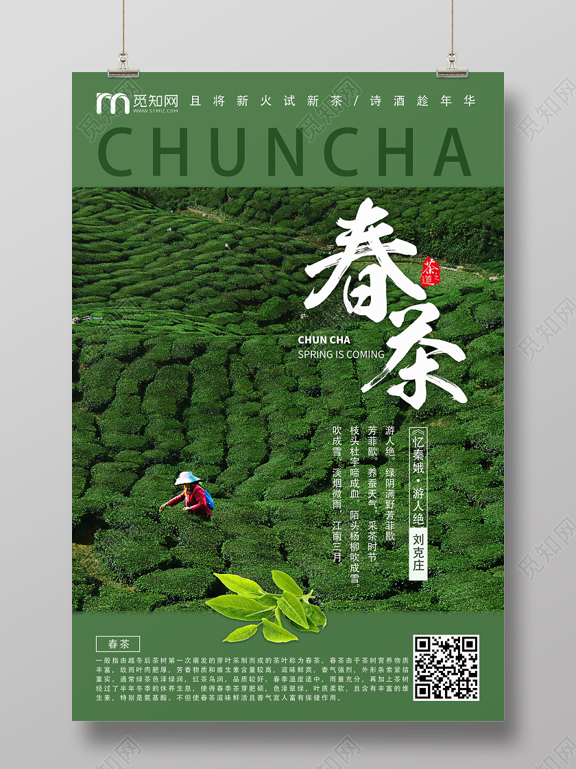 茶叶绿色实景春茶海报