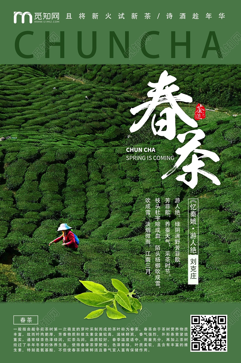 茶叶绿色实景春茶海报