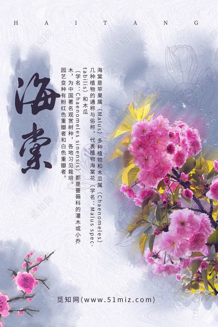 水墨风晕染简约海棠花海报