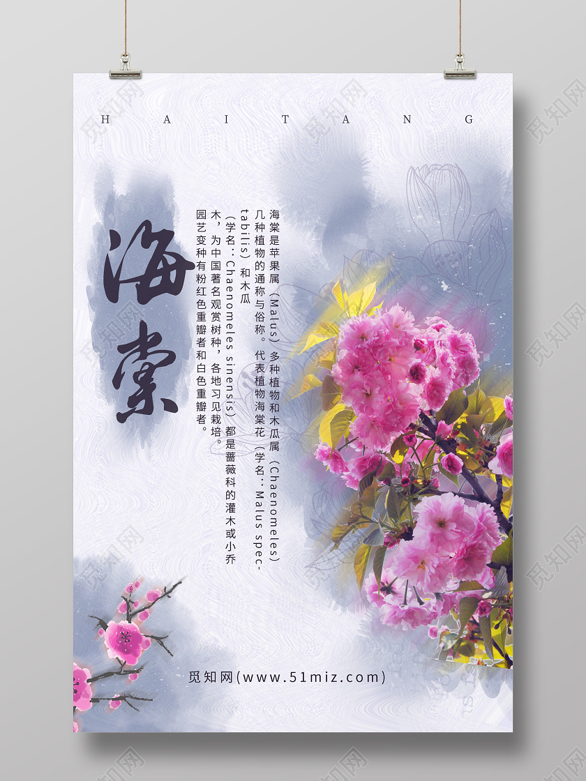 水墨风晕染简约海棠花海报