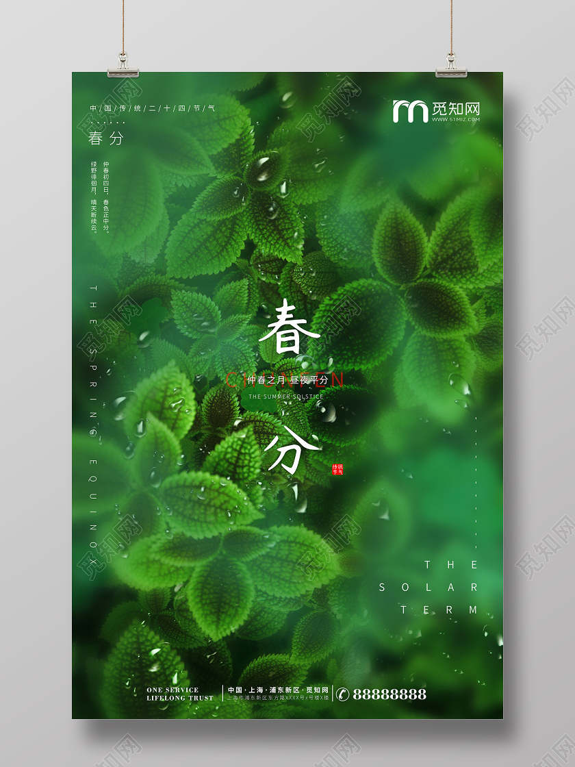 简约大气绿色系春分二十四节气节气春分宣传海报
