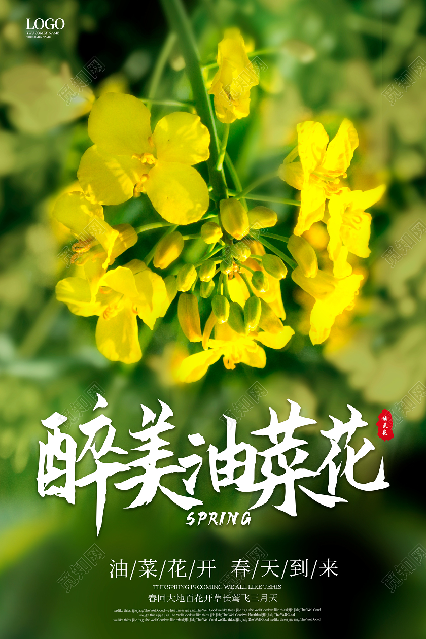 绿色清新大气醉美油菜花春天旅游海报