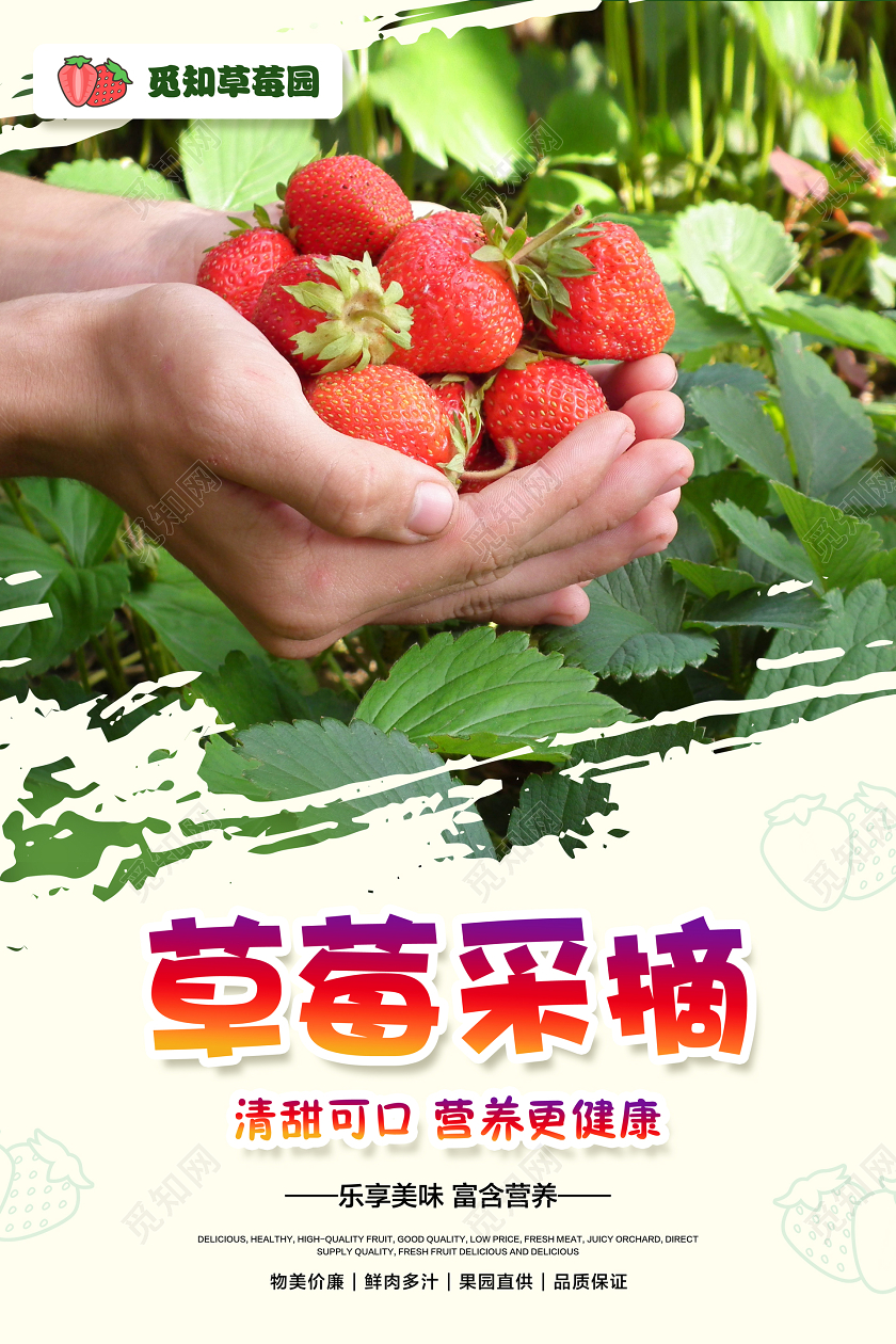 水果店绿色简约草莓采摘水果促销海报