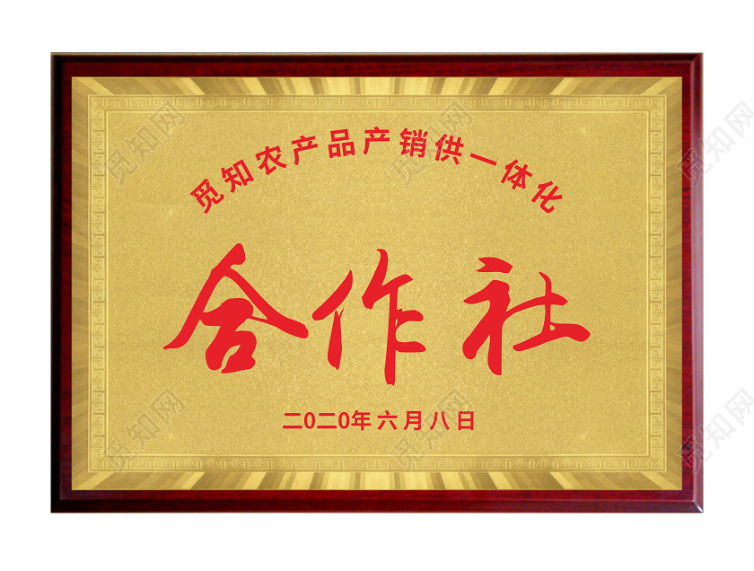 金色简约中国供销合作社企业铜牌