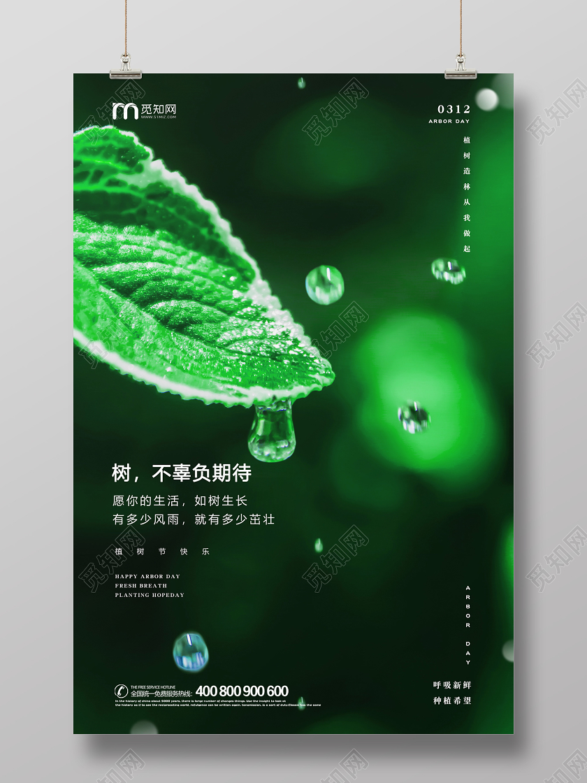312绿色树叶种树植树造林植树节活动海报