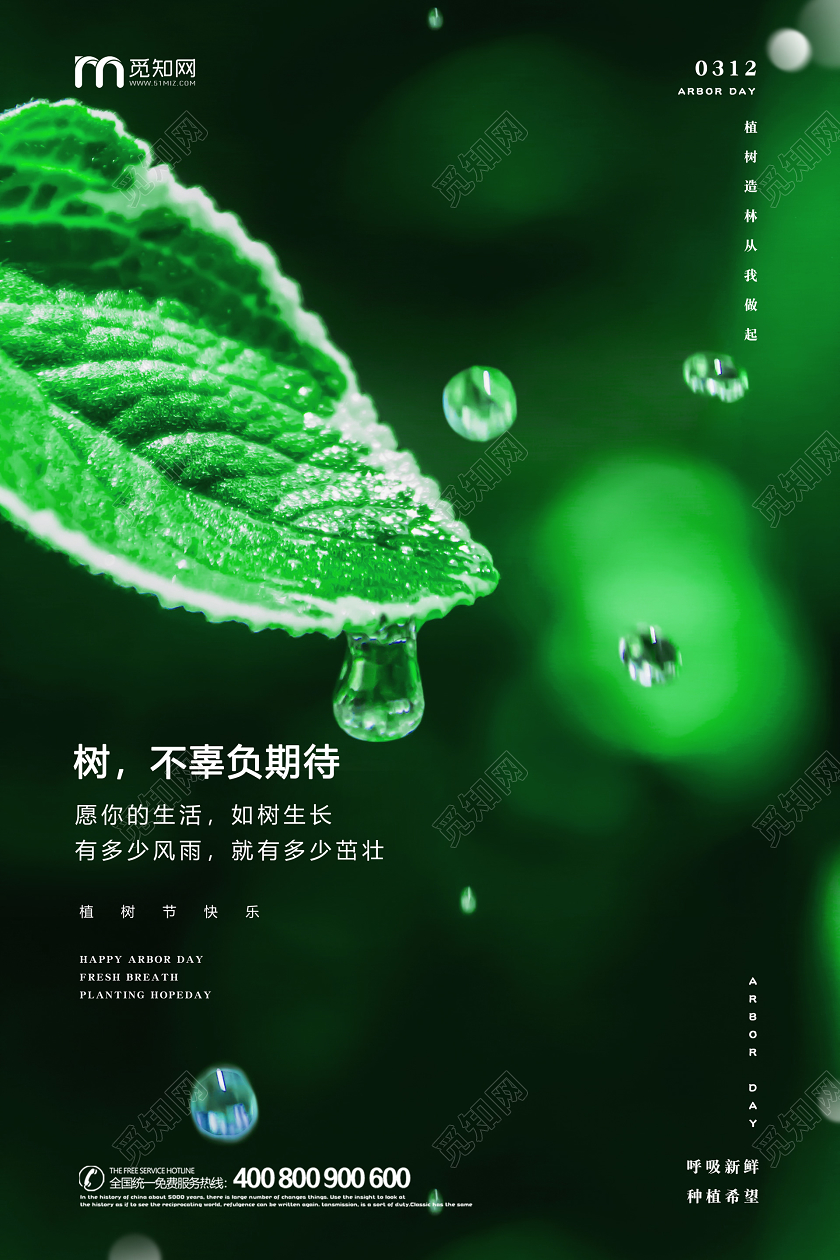 312绿色树叶种树植树造林植树节活动海报