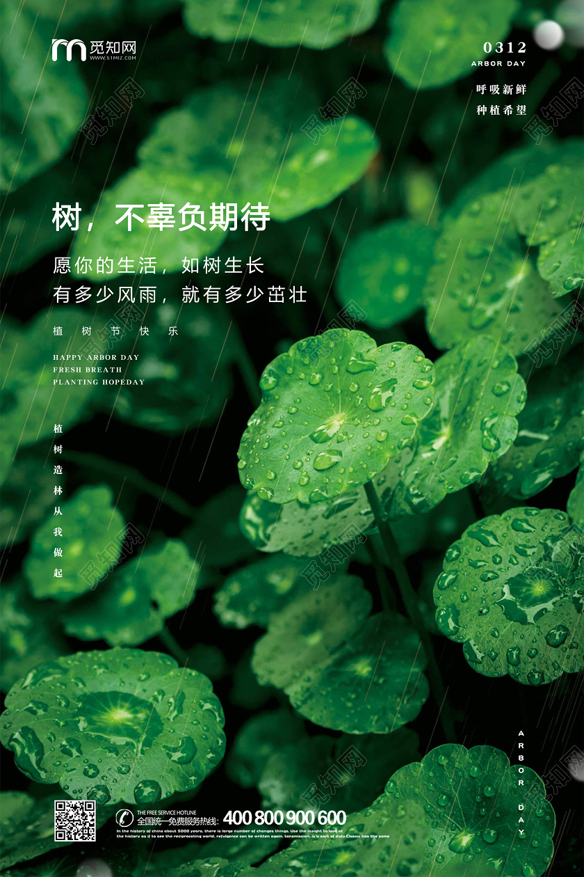 312绿色简约树叶种树植树造林植树节活动海报