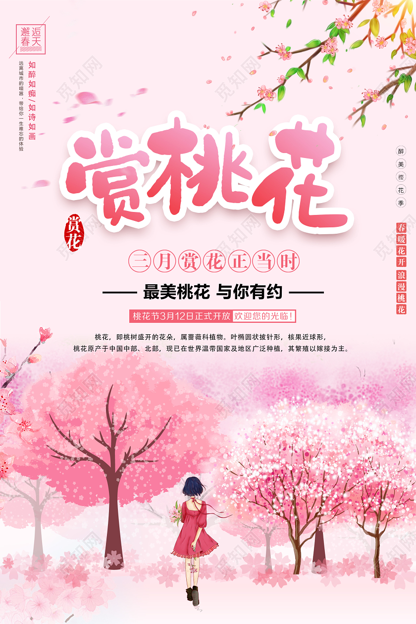 赏桃花桃花节春天踏青旅游宣传海报
