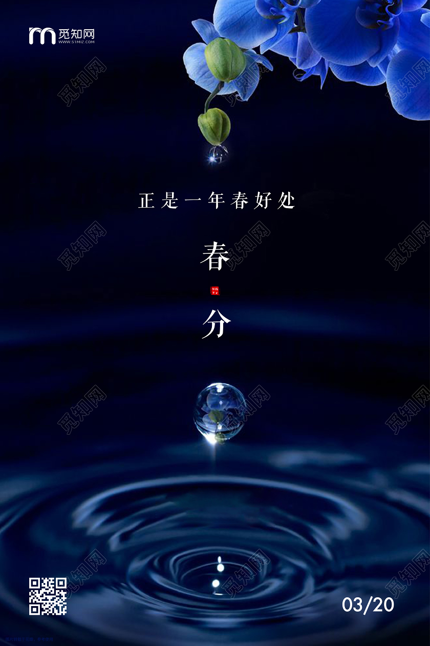 深蓝色水波花朵春分传统节气创意海报