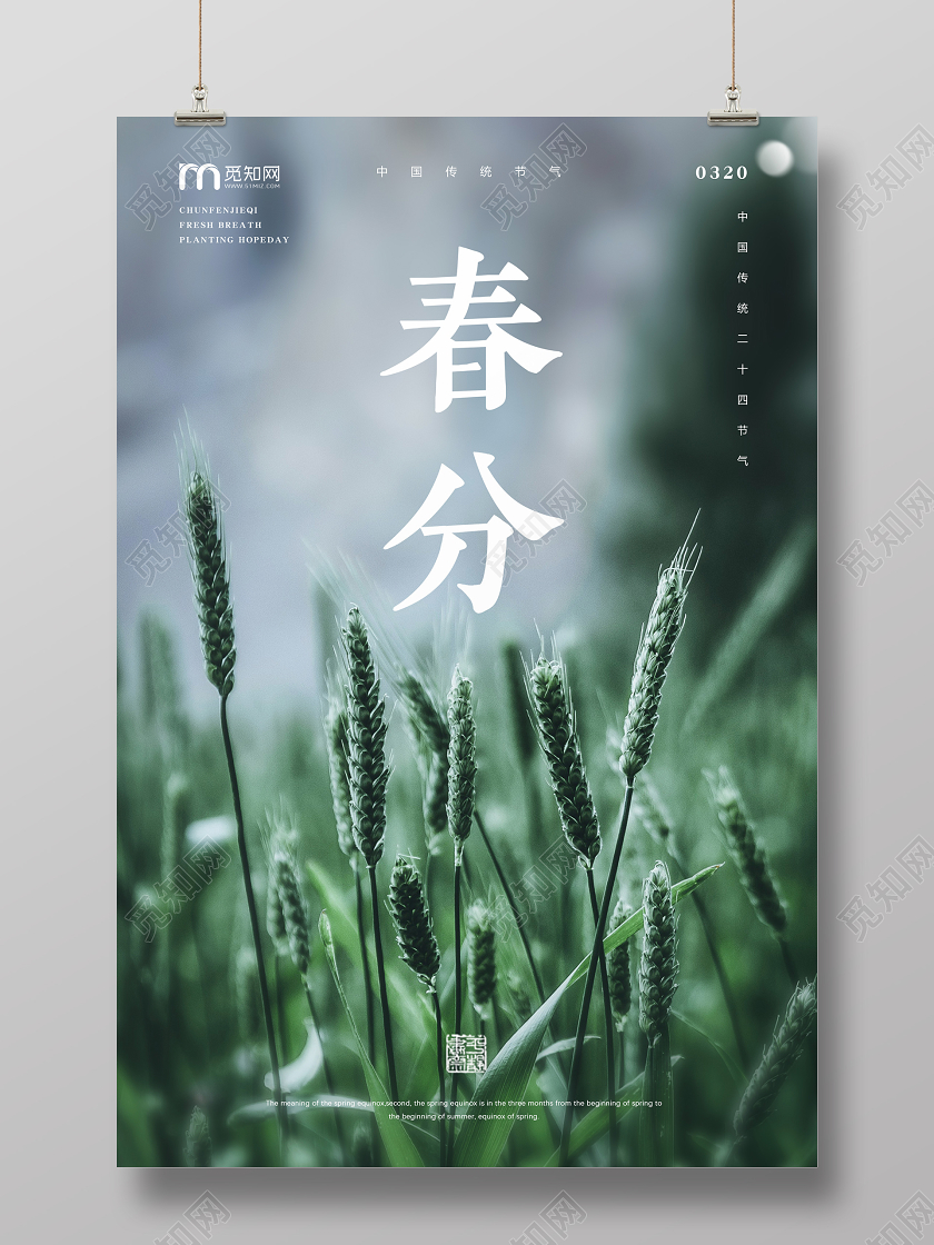 简约春天景色新芽传统二十四节气春分宣传海报