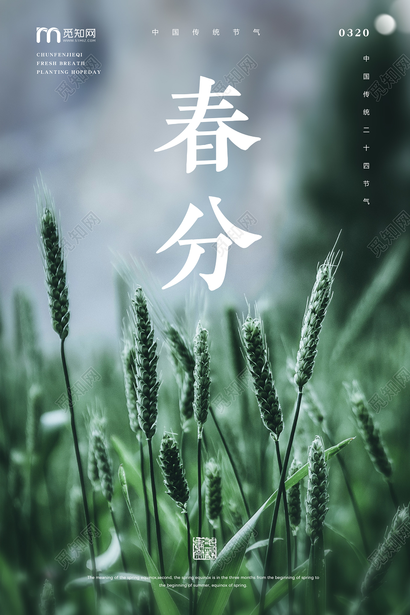 简约春天景色新芽传统二十四节气春分宣传海报