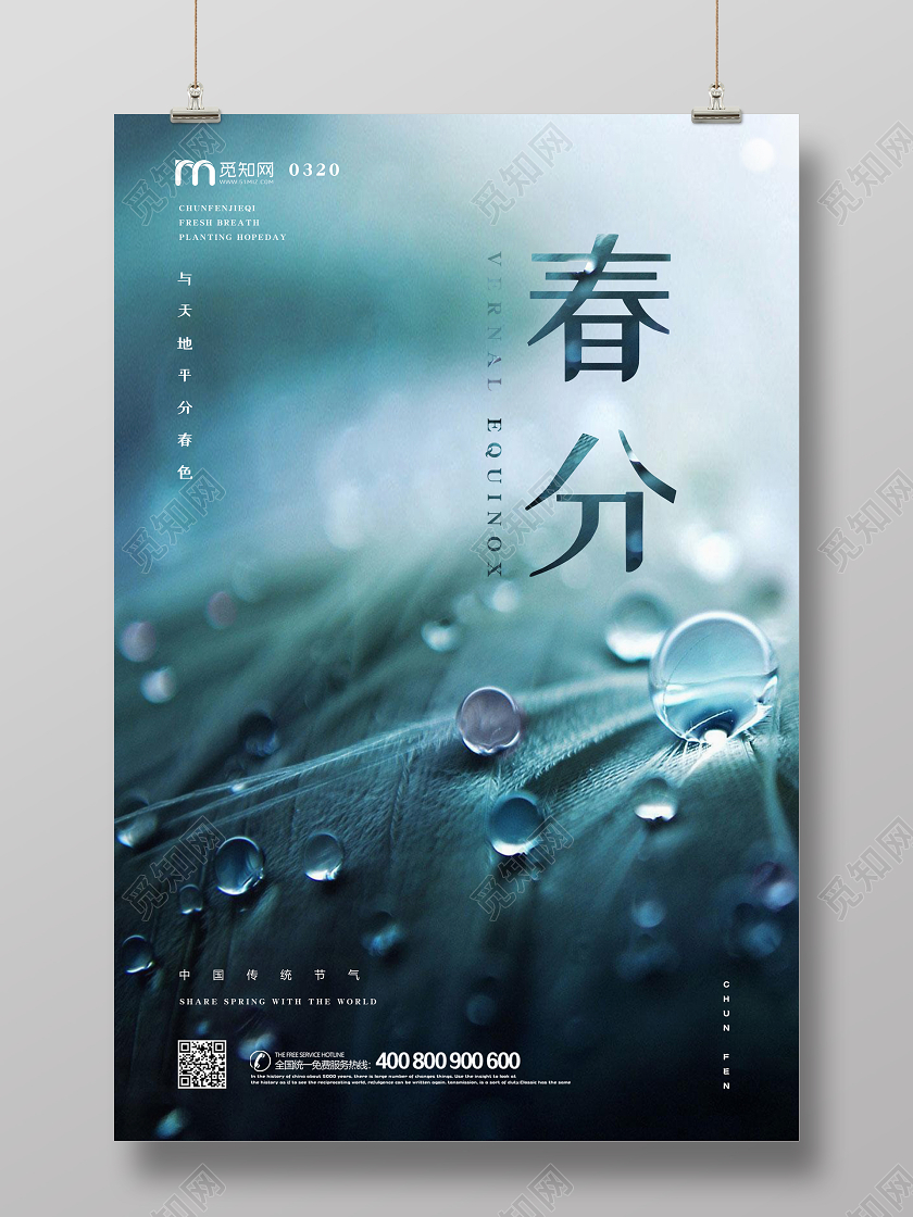 春天景色雨滴传统二十四节气春分宣传海报