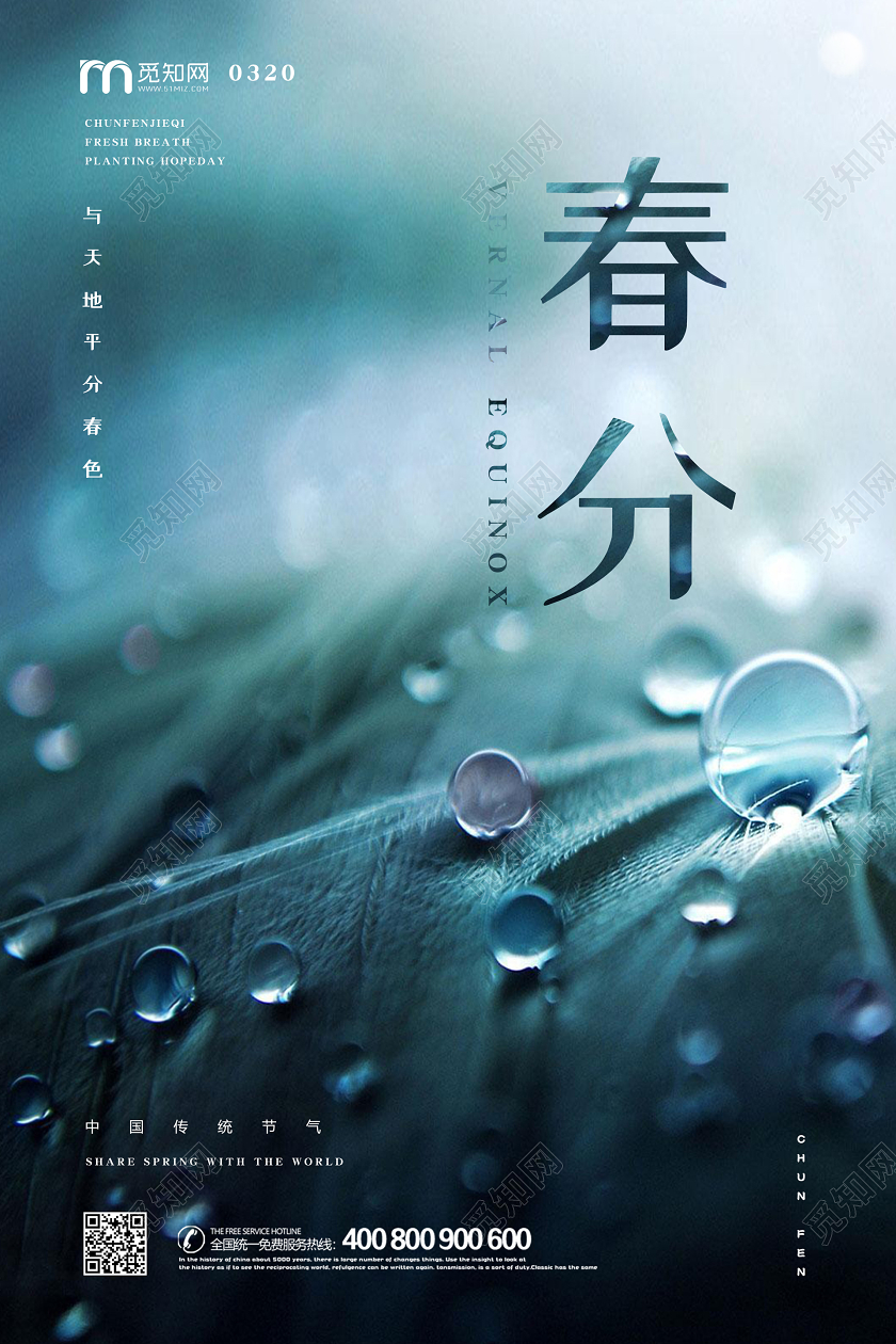 春天景色雨滴传统二十四节气春分宣传海报