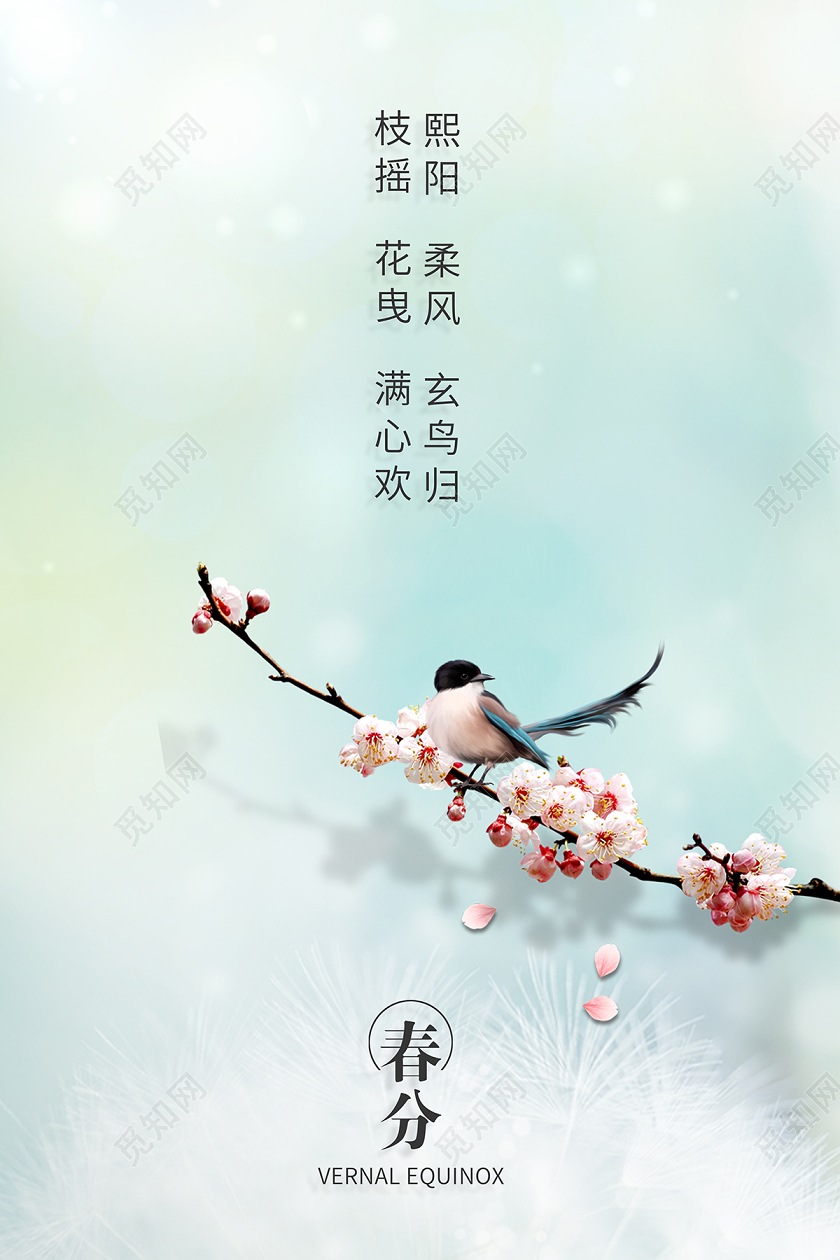 简约唯美春分24节气海报设计