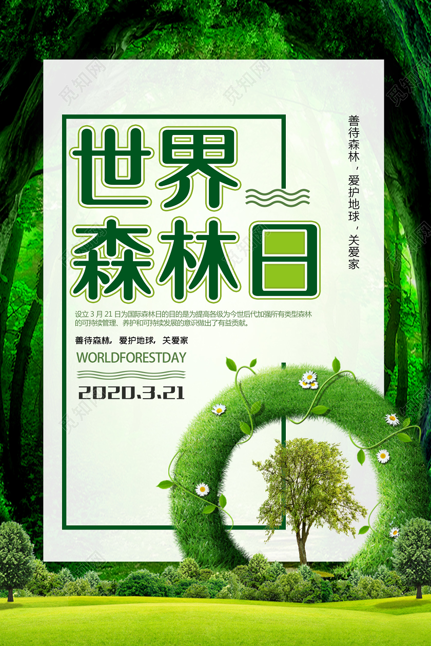 绿色森林背景世界森林日海报设计