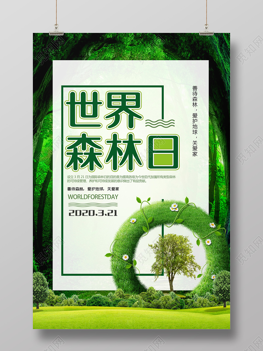 绿色森林背景世界森林日海报设计