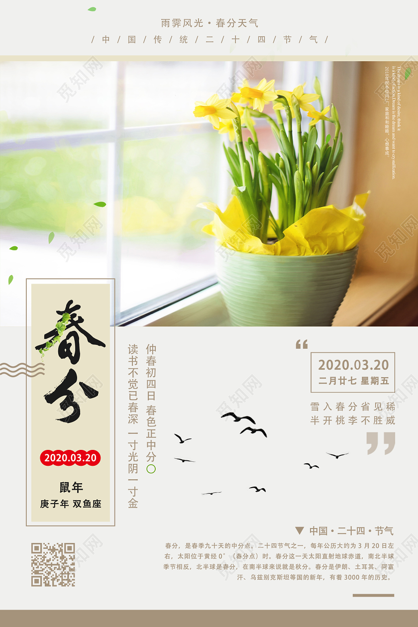 白色简约春分二十四节气春分海报