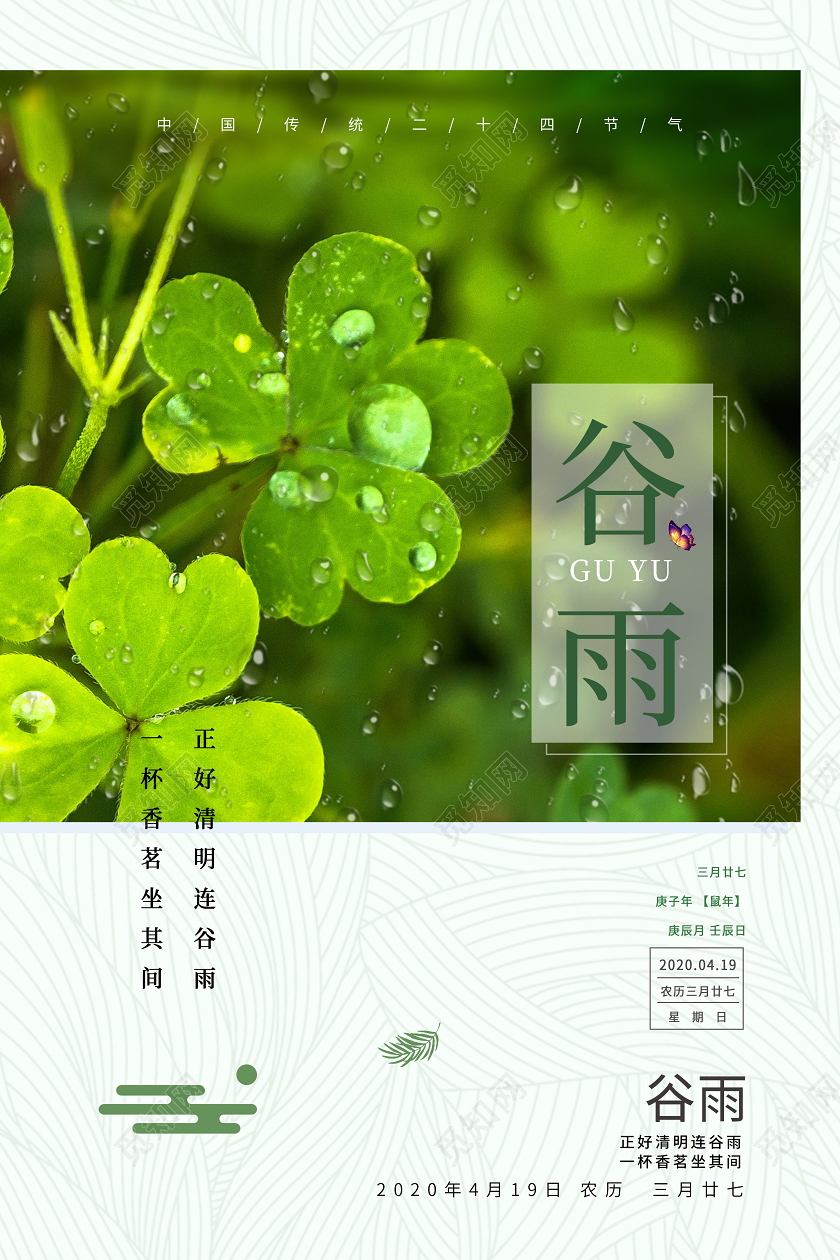 二十四节气谷雨传统节日海报