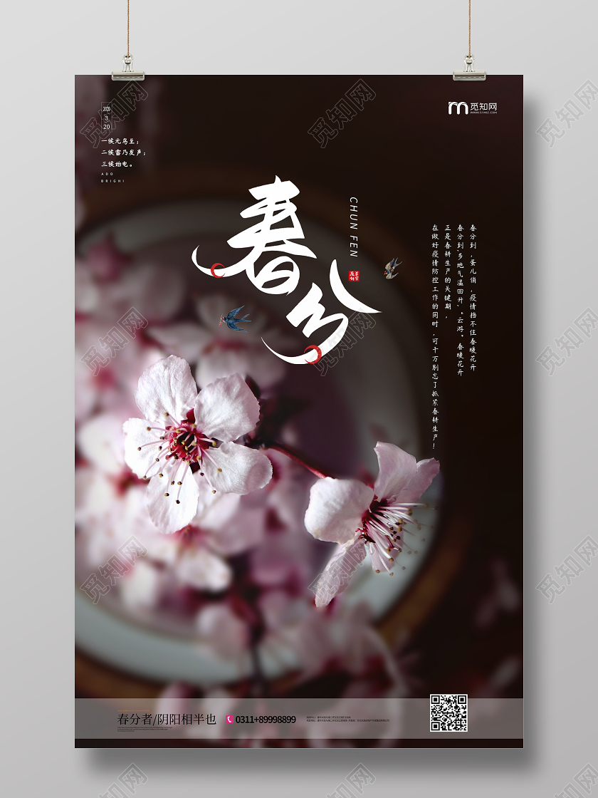 简约清新春分节气海报