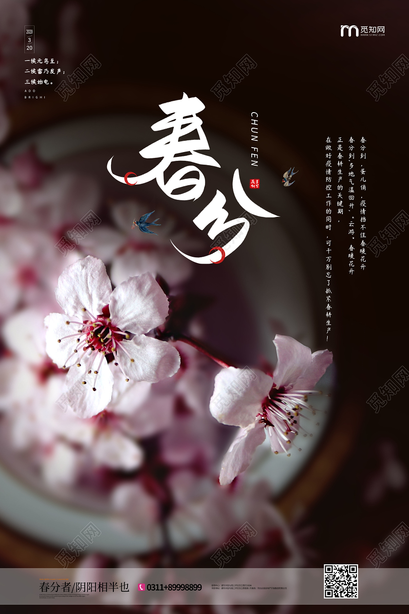 简约清新春分节气海报