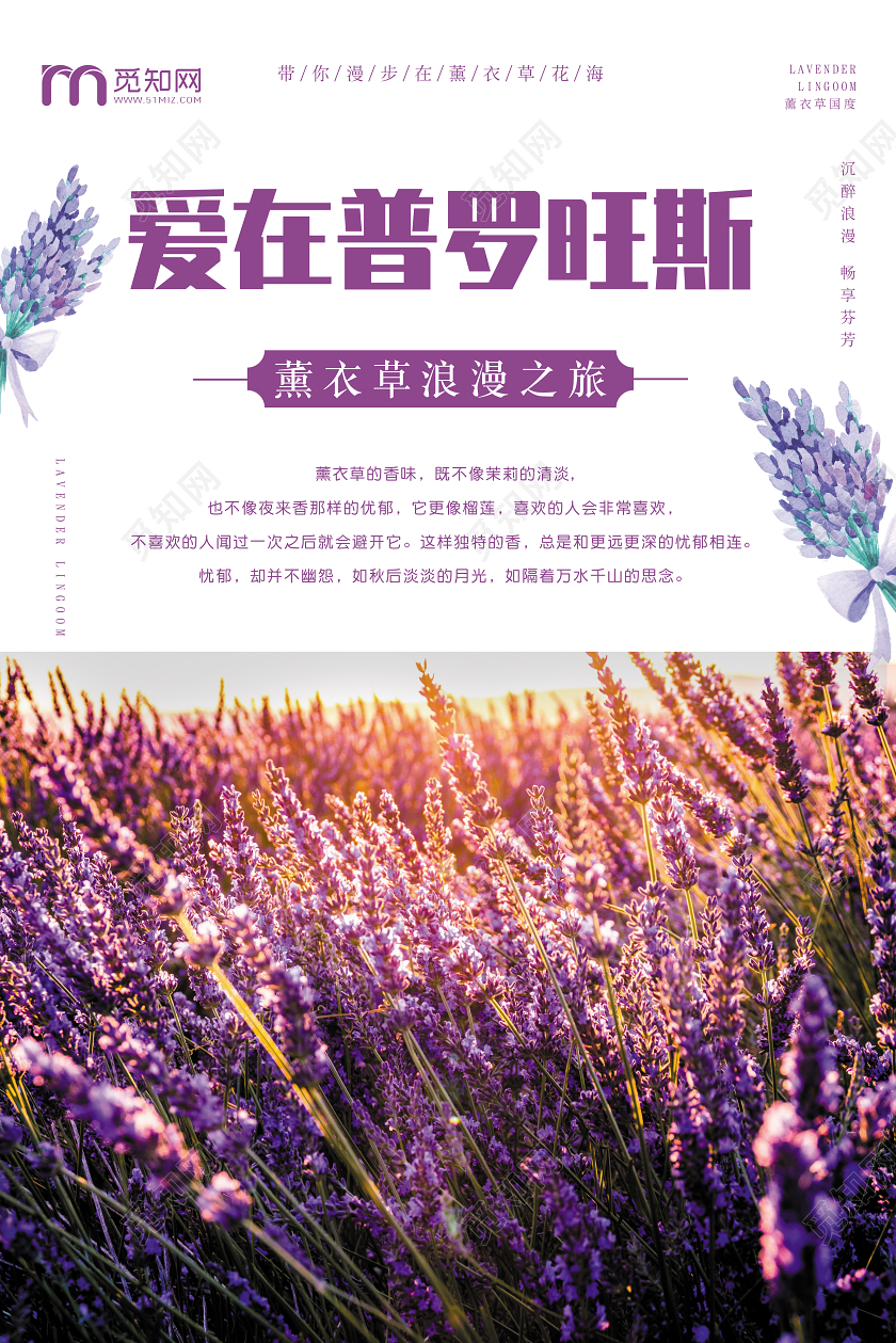 简约爱在普罗旺斯薰衣草浪漫之旅宣传海报