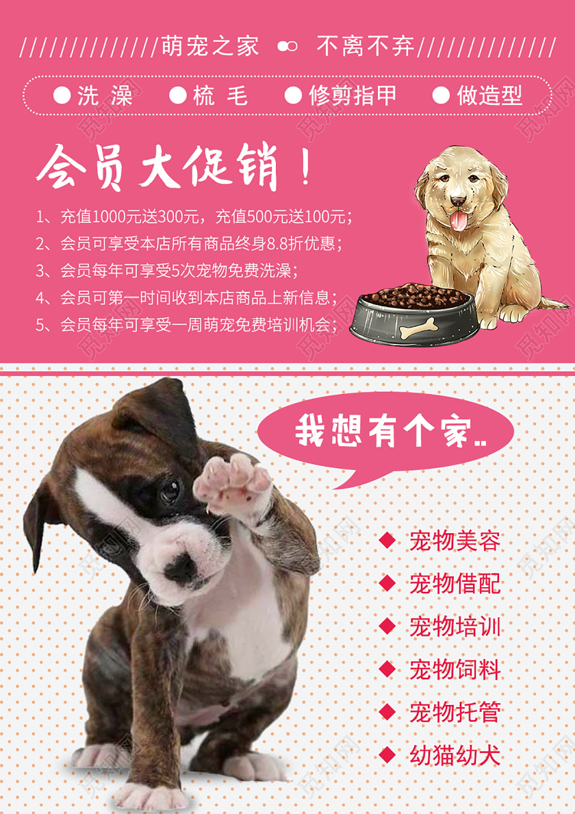 粉色卡通萌宠乐园宠物店开业宣传单