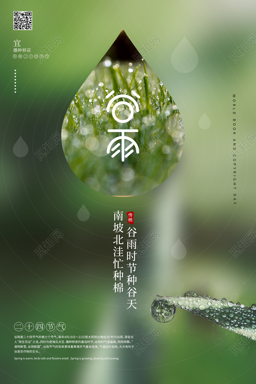 谷雨24节气传统春天宣传水滴海报