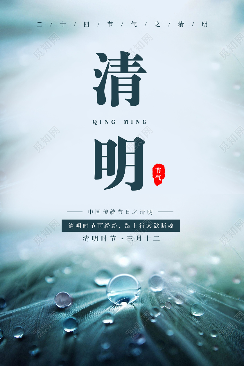 实拍清明清明祭祀清明祭奠清明追思清明节海报