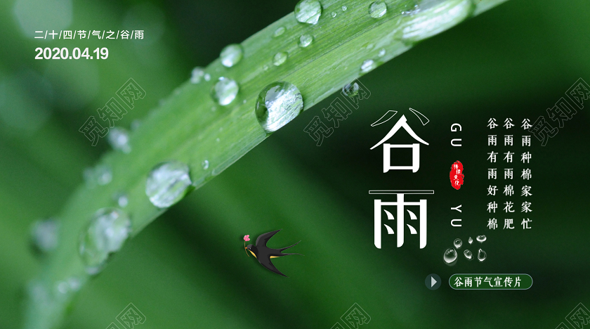 封面绿色自然谷雨微信公众号插图二十四节气谷雨微信公众号配图