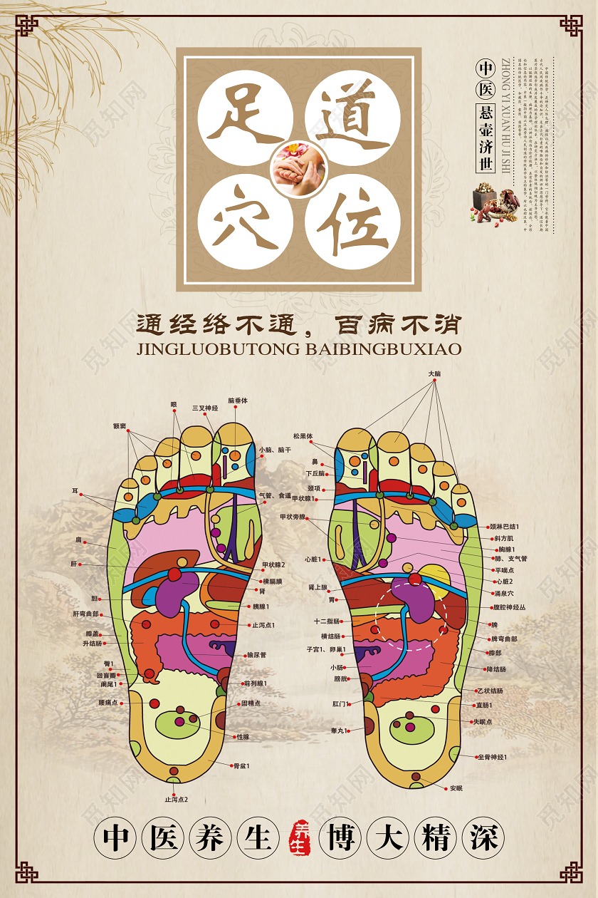 简单浅灰中医养生足疗足道穴位宣传海报
