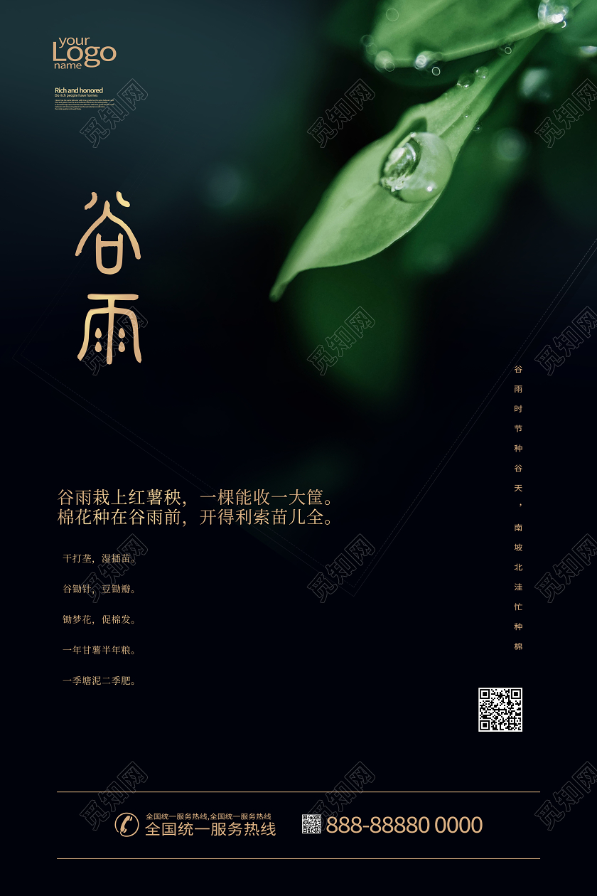 谷雨24节气中国传统树叶海报