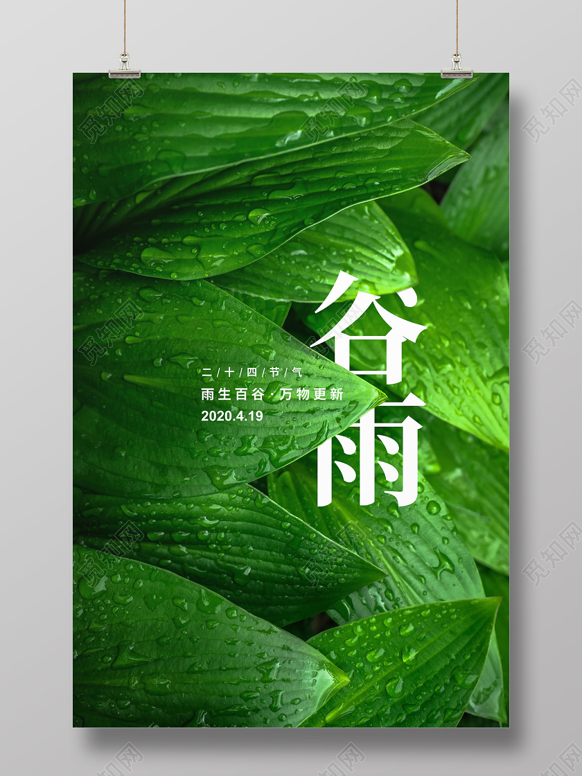 实拍简约二十四节气谷雨宣传海报设计