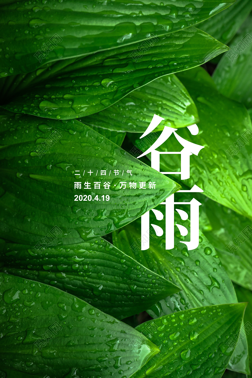 实拍简约二十四节气谷雨宣传海报设计