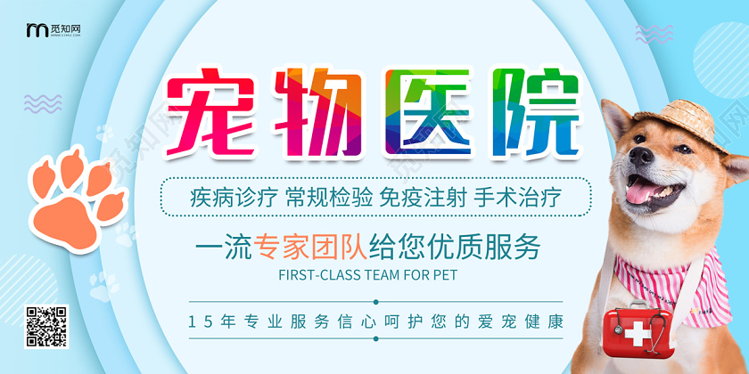 浅蓝色清新简约宠物狗宠物医院宣传展板
