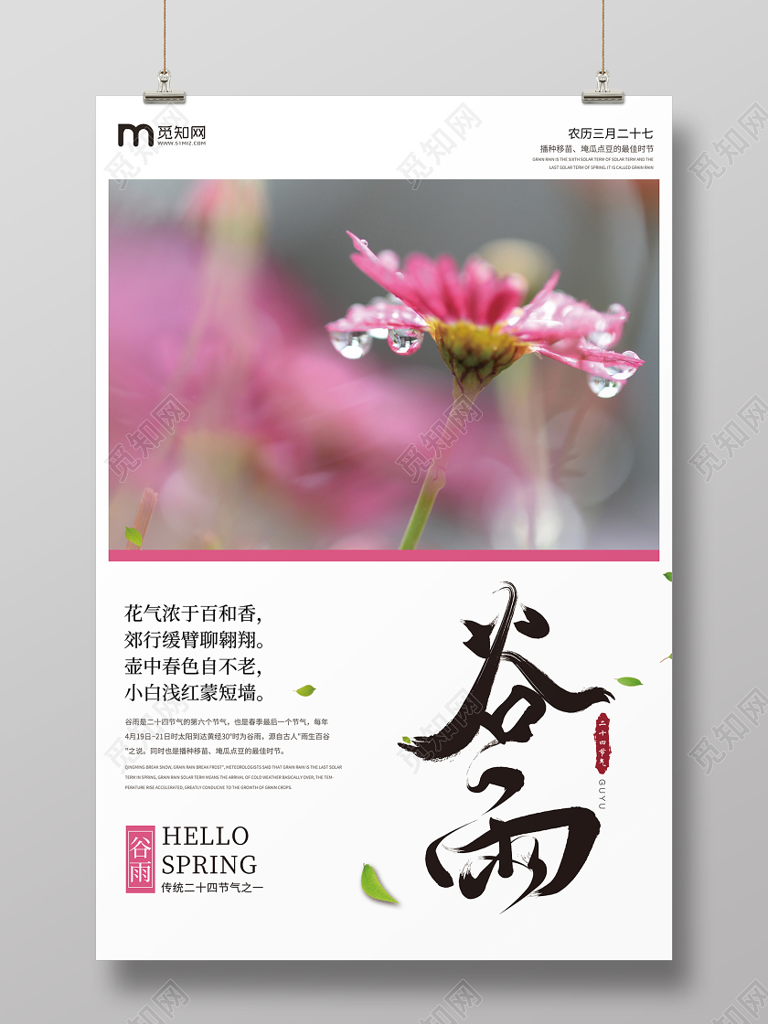 实拍创意简约花朵谷雨中国传统二十四节气海报