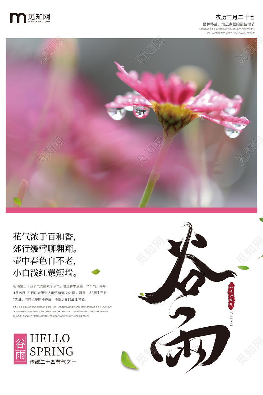 实拍创意简约花朵谷雨中国传统二十四节气海报