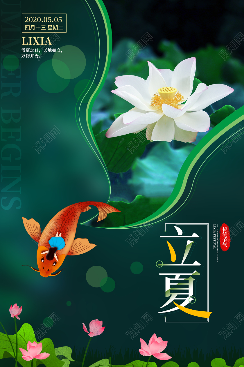 立夏荷花写实海报