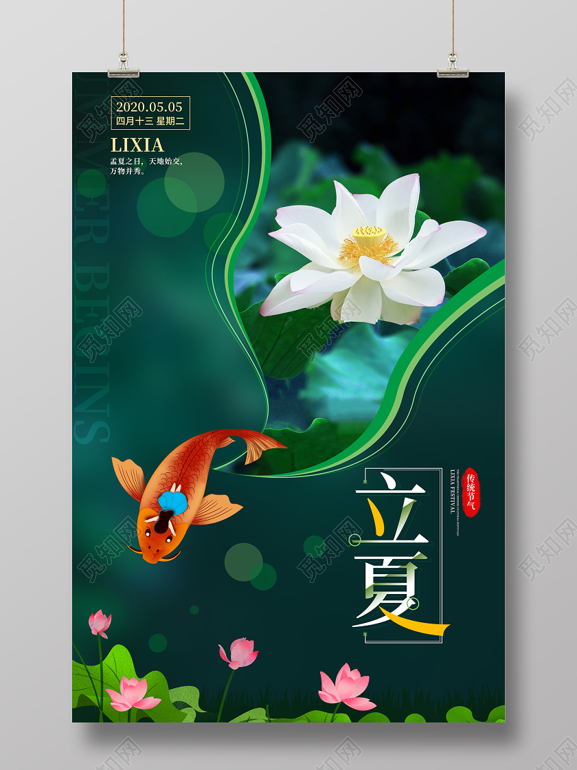 立夏荷花写实海报