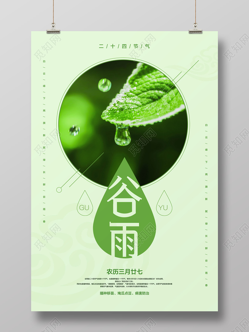 浅绿色简约谷雨二十四节气宣传海报