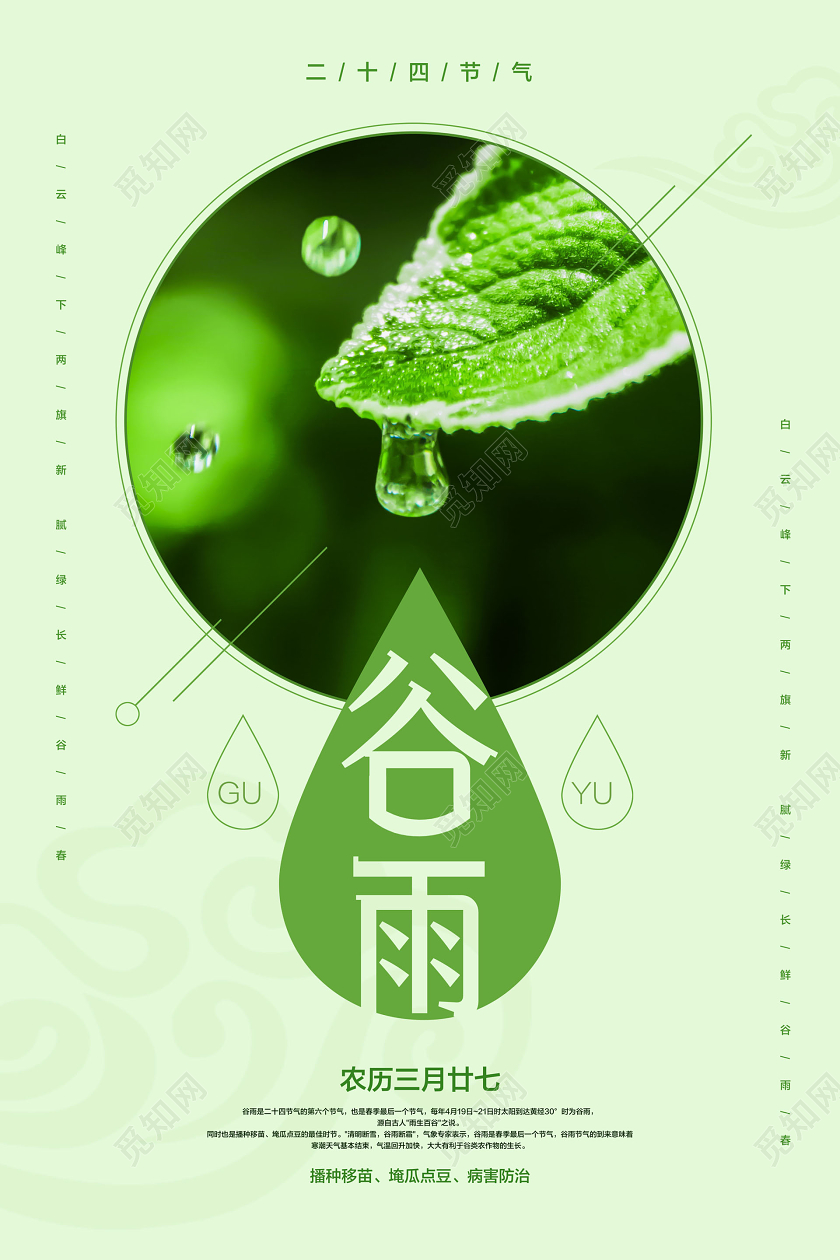 浅绿色简约谷雨二十四节气宣传海报