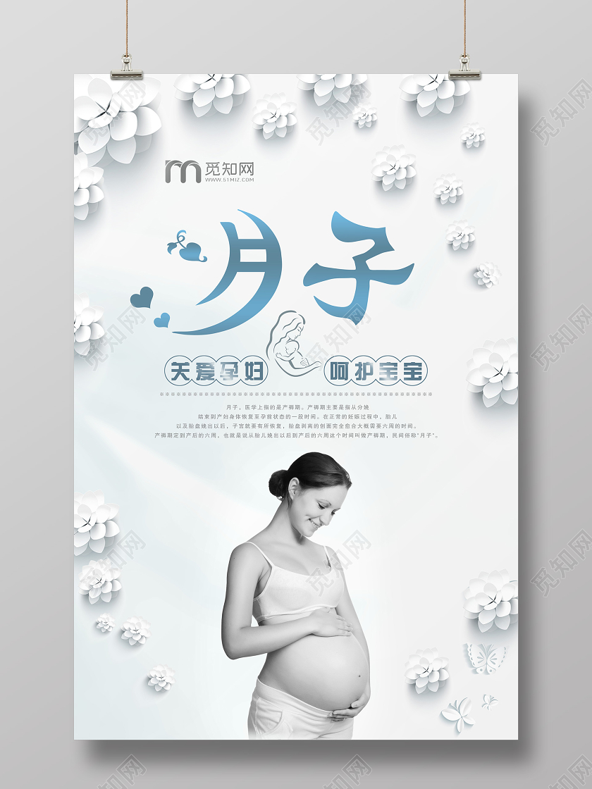 简单大气浅灰月子中心手绘花孕女宣传海报